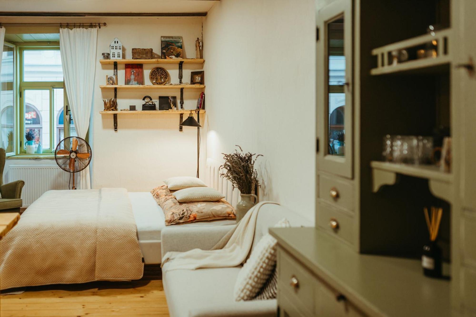 Apartman V Jungovom Dome - V Centre Stiavnice Banska Stiavnica Ngoại thất bức ảnh